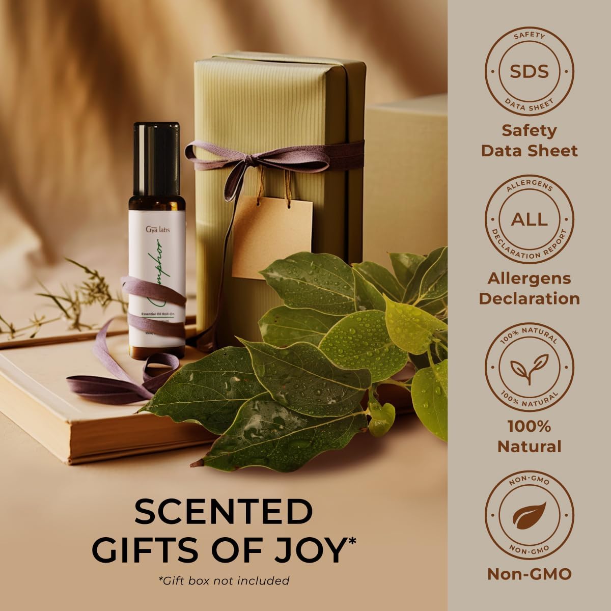 Gya Labs Camphor Essential Oil Roll on - Soothing Chest Rub Aromatherapy, 100% Pure Natural Camphor Oil Roller, Travel Size (0.34 Fl Oz)