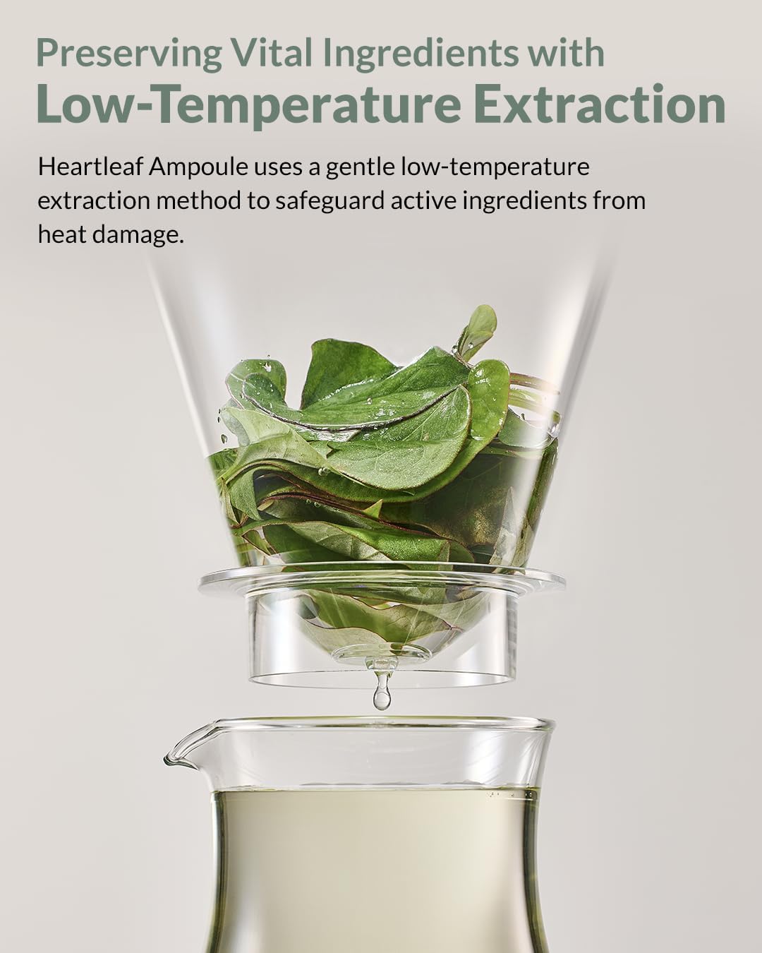 Heartleaf Soothing Moisture Toner - Low pH, 80% Heartleaf Extract, Enriched with Houttuynia Cordata & Green Tea, Clinically Tested, No Irritation - Ideal for Sensitive Skin, 6.76 f l. oz