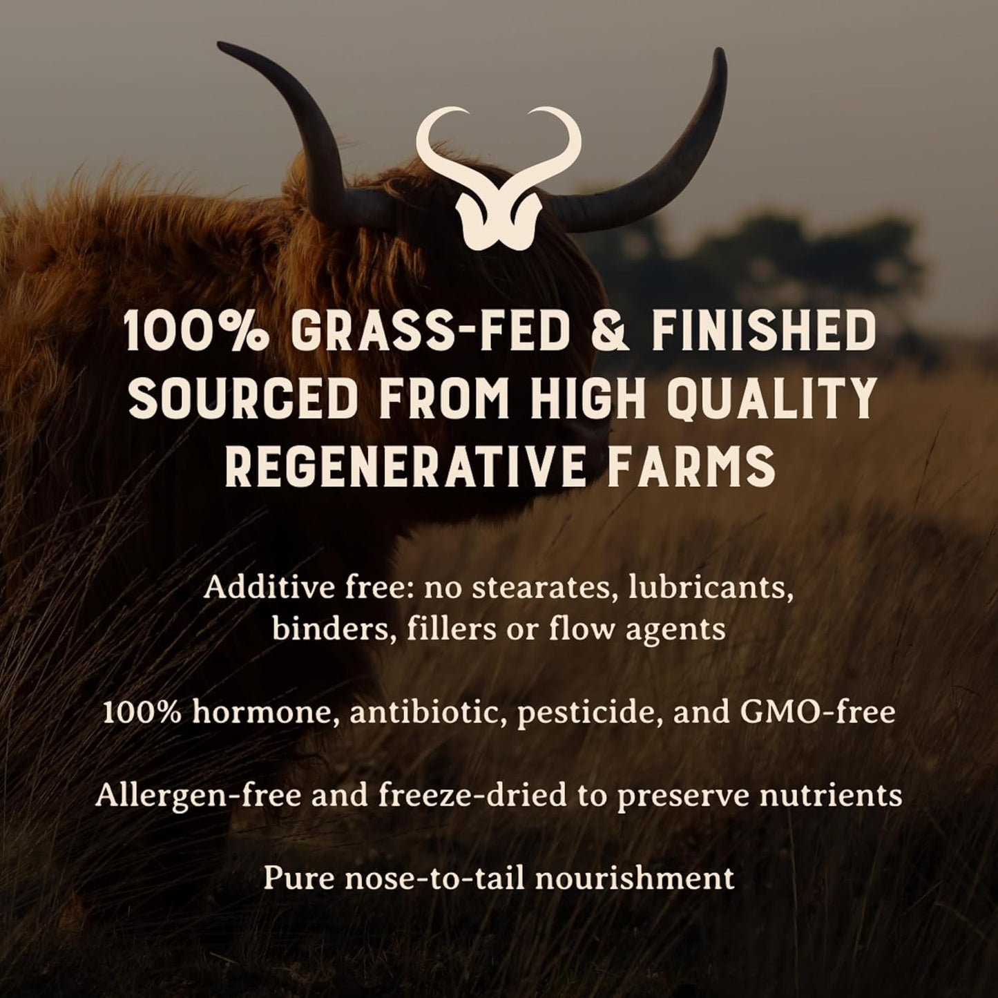 HEART & SOIL Grass Fed Beef Brain Supplement – 3000mg Brain Supplements for Memory and Focus with DHA, EPA, Choline, B12, Folate, Riboflavin, Selenium & Copper - Non-GMO, Allergen-Free - 180 Capsules