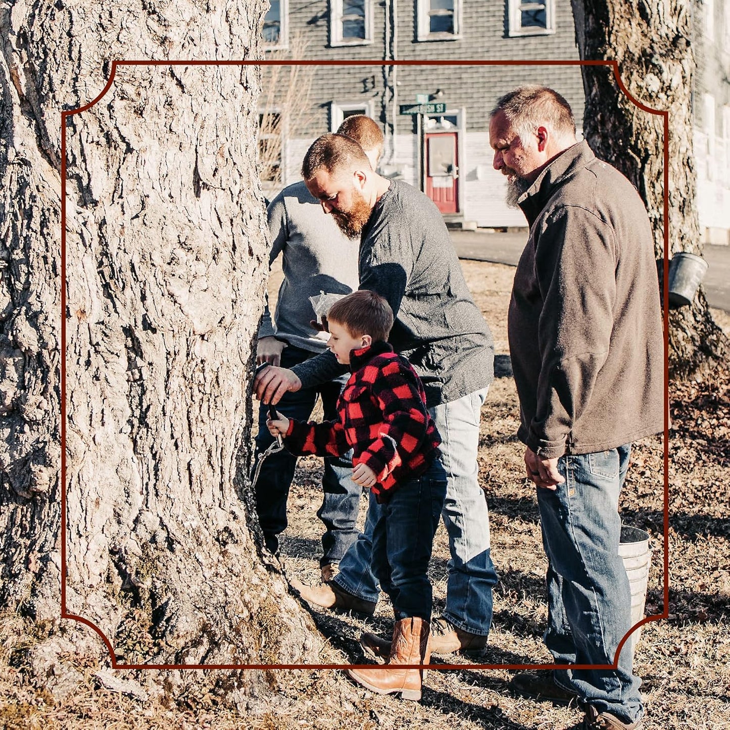 Frost Ridge Maple Farm, Organic Maple Cream, Grade A, One Pound (16 oz)